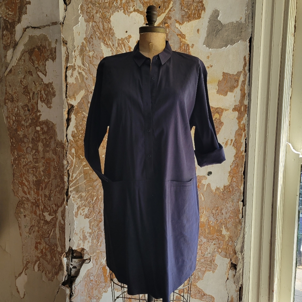 Eileen Fisher Dress Large